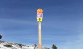 Tour Schneeschuhwandern Aillon-le-Jeune - GNB Bauges - Margeriaz  - Photo 1