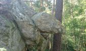 Trail Walking Fontainebleau - 190710 salamandre  - Photo 1