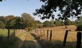 Excursión Senderismo Léglise - Bois d'Ospau et balade du Polissoir - Photo 10