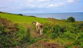 Randonnée A pied La Hague - Séjour Cotentin Etape 1 Hurville Nacqueville à Jobourg - Photo 8