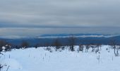 Percorso Sci di fondo Escragnolles - panoramique enneigé - Photo 5