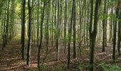 Tour Wandern Heers - Wikiloc Hornebos  (PVDB) - Photo 12