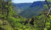 Trail Walking Le Rozier - corniche du Tarn et de la Jonte - Photo 7