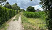Trail Walking Ghent - Lourdes d’Oostacker 12,7 km - Photo 5