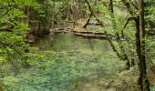 Tour Wandern Arbois - Arbois - Les planches - Rocher du feu - Arbois  - Photo 3