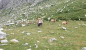 Trail Walking Prats-de-Mollo-la-Preste - Les Conques sources du Tech_T - Photo 11