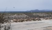 Excursión Senderismo Hyères - tour des Pesquier  - Photo 5