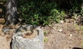 Randonnée Marche nordique Nant - Canoles du Larzac - Photo 18