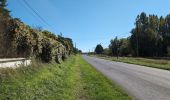 Randonnée Marche Saint-Martin-le-Beau - Saint-Martin-le-Beau - Zig zag Dierre - 22km 330m 4h45 (1h) - 2024 10 05 - Photo 4