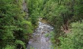 Trail Walking Les Planches-en-Montagne - Les Planches en Montagne Gorges de la Langouette  - Photo 7