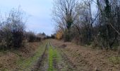 Randonnée Marche Aywaille - de Tlff à Sur le Tige -  autour du bois de Warnoumont - Photo 14