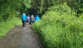 Tour Wandern Arzúa - Arzua O Pedreiro - Photo 6