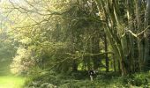 Tocht Te voet Tervuren - Kap(ucijnen)bos van Duisburgwandeling - Photo 6