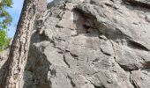 Randonnée Marche Dambach-la-Ville - Sommets et rochers - Photo 6