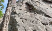 Trail Walking Dambach-la-Ville - Sommets et rochers - Photo 6