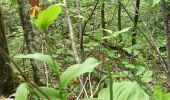 Tour Wandern Le Sauze-du-Lac - balade balcons du lac 300521 - Photo 4