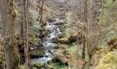 Trail Walking Besse-et-Saint-Anastaise - Cascades de Chiloza - Photo 9