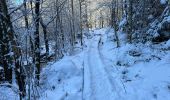 Tocht Stappen Jalhay - Jalhay Fagnes 23,8 km - Photo 11