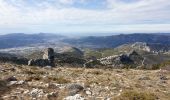 Trail Walking Gémenos - Col de L'Espigoulier, col de Bretagne, Dents de Roque Forcade A/R - Photo 15