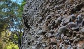 Trail Walking La Ciotat - Trail Walking La Ciotat -