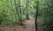 Tour Wandern Lüttich - Bois du Sart - Photo 12