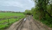 Tour Wandern Ottignies-Louvain-la-Neuve - #240412 - 3 bois : de Bustons, des Corbeaux et des Volontaires (courte) - Photo 3