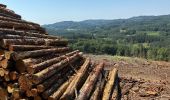 Tocht Stappen Soudeilles - F 2024 puy de la tourte Soudeilled - Photo 6