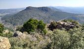 Tour Wandern Bagnols-en-Forêt - le caste diaou - Photo 3