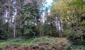 Trail Walking Esneux - mon E d'Esneux - Photo 2
