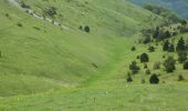 Randonnée Marche Châtillon-en-Diois - Montagne de Beaupuy - Nonnières - Photo 19