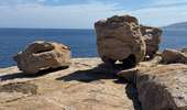 Trail Walking Calvi - Calvi : Pointe de revellata - Photo 3