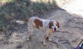 Tocht Stappen Manosque - 20220911canyon3 - Photo 1