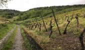 Tour Wandern Leiwen - Leiwen hohe 6,6 km vineyards view  - Photo 5