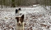 Randonnée Marche Neufchâteau - Hosseuse 4,2 km  - Photo 12