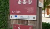 Trail Electric bike Ronse - Renaix - Ellezelles - Croisette - Saint-sauveur - Photo 5