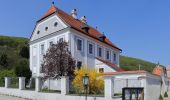 Tocht Te voet Aggsbach - Welterbesteig Wachau Etappe 7 - Photo 3