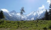 Excursión Senderismo Saint-Gervais-les-Bains - Chalet du Truc - Miage - Photo 11