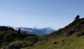 Tour Wandern Saint-Jean-d'Aulps - Roc d'Enfer au départ de Graydon - Photo 10