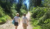 Trail Walking Eupen - WandHogeVenen 3 : Ternell: via de Hill naar Herzogenheuvel - Photo 4