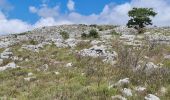 Trail Walking Coursegoules - coursegoules st barnabé  - Photo 12