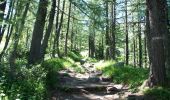 Trail Walking Chamonix-Mont-Blanc - Trajet Retour - Photo 14