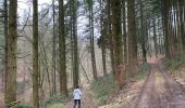 Trail Walking Bouillon - Toer Laviot - Photo 6