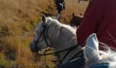 Trail Horseback riding Moussey - fady col de praye  - Photo 2