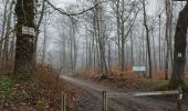 Trail Walking Viroflay - Les haras de Jardy et le mémorial Lafayette - Photo 4