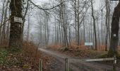 Tour Wandern Viroflay - Les haras de Jardy et le mémorial Lafayette - Photo 4