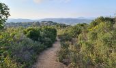 Tour Wandern Ramatuelle - Ramatuelle - de Bonne Terrasse au Rocher des Portes en passant par le phare - Photo 3