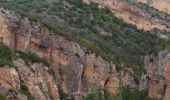 Trail Walking Alquézar - ALQUEZAR boucle par passerelles et abrigo de regacens - Photo 8