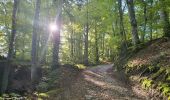 Trail Walking Arbusigny - Autour d'Arbusigny  - Photo 2