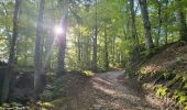 Tour Wandern Arbusigny - Autour d'Arbusigny  - Photo 2