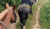 Trail Horseback riding Dramelay - Jour 2 Rando Petite Écurie  - Photo 4